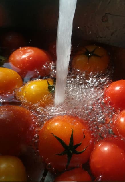 Frische Tomaten unter fließendem Wasser